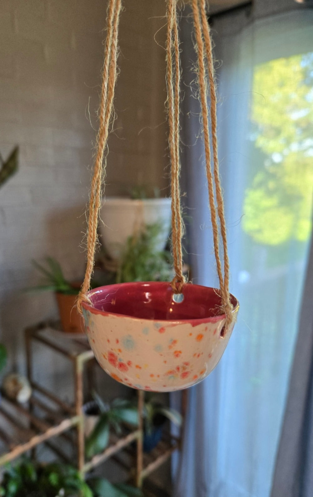 Air Plant Hanger