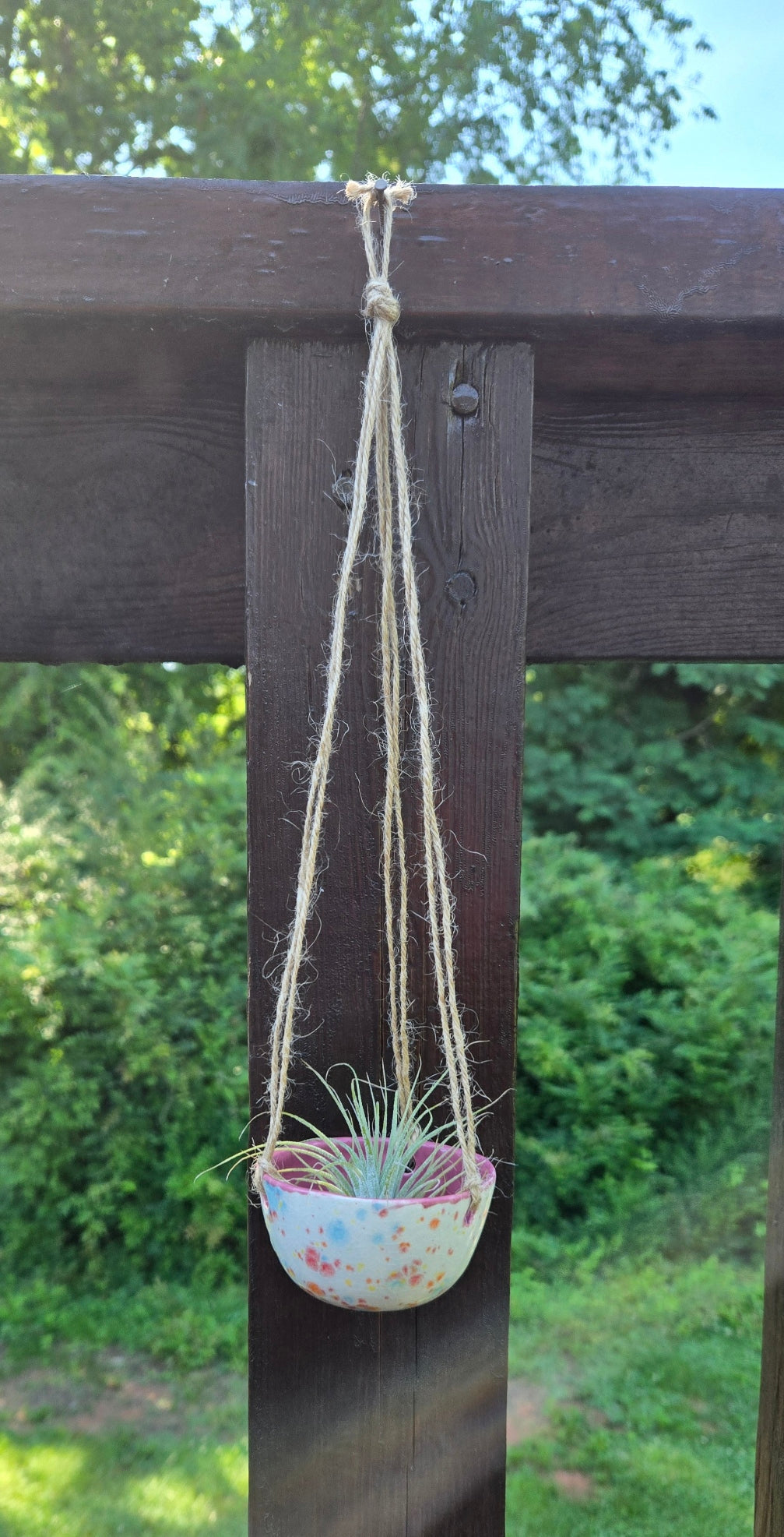 Air Plant Hanger