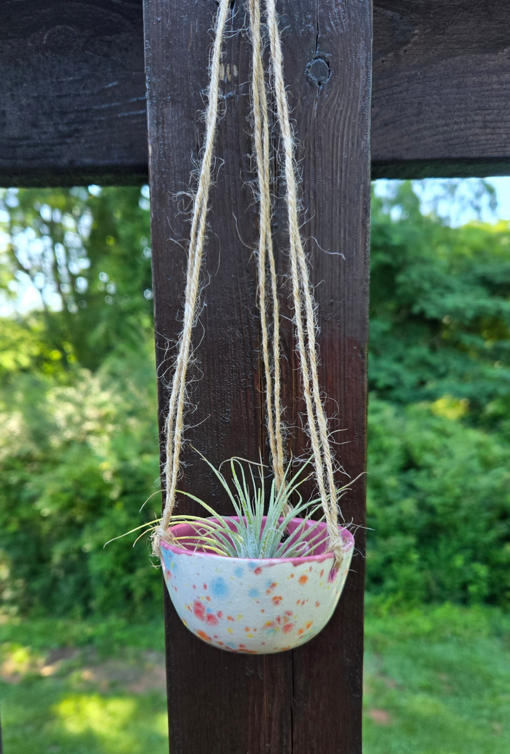 Air Plant Hanger