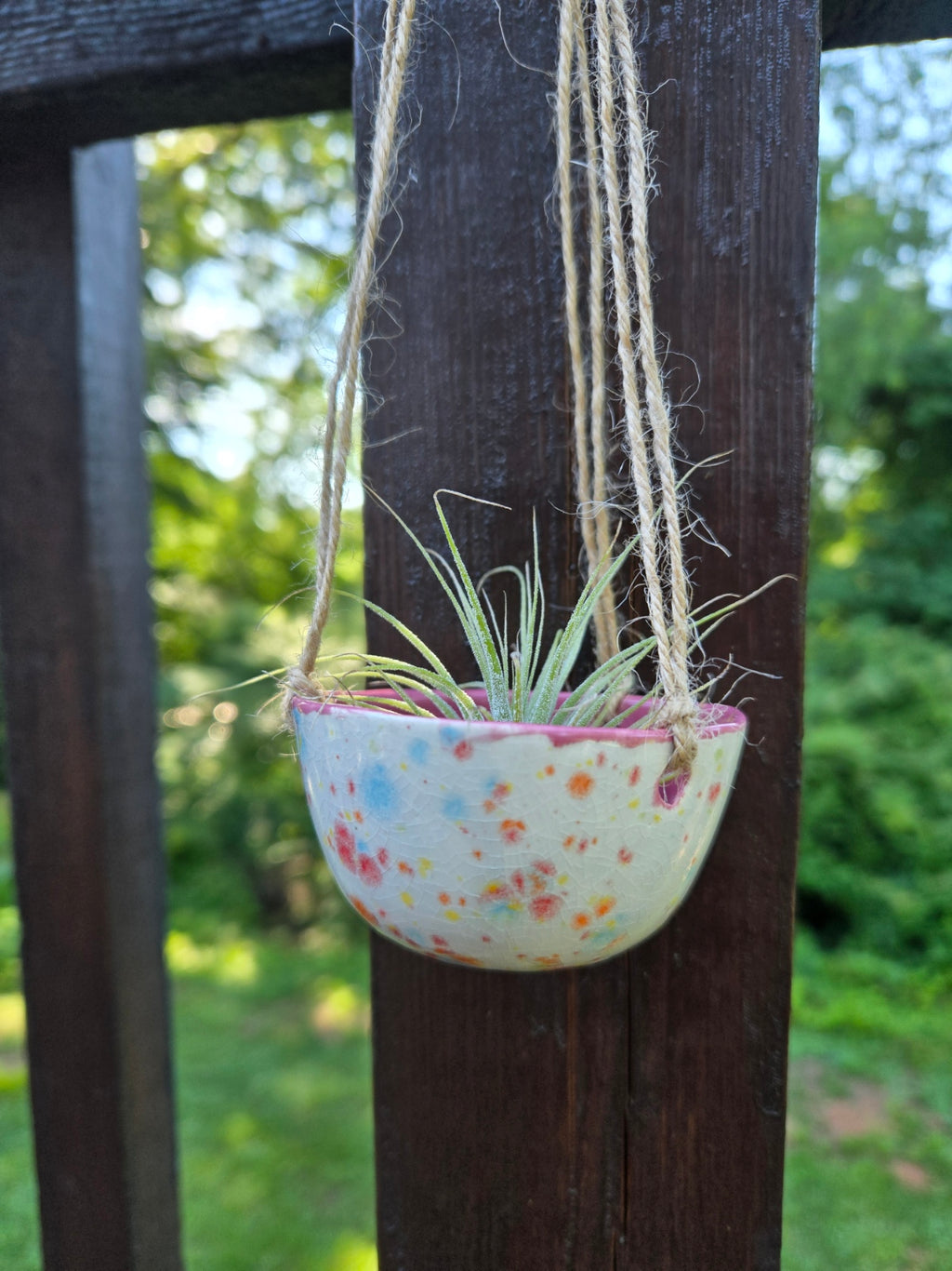 Air Plant Hanger