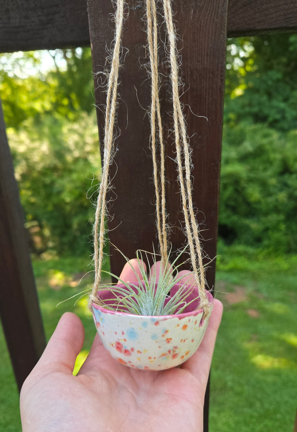 Air Plant Hanger