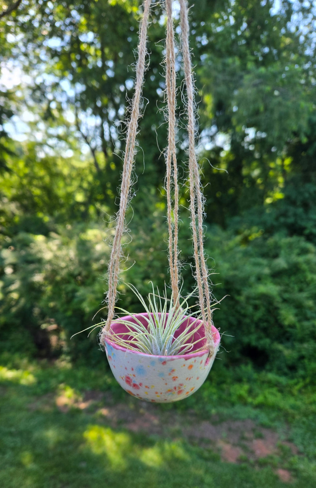 Air Plant Hanger