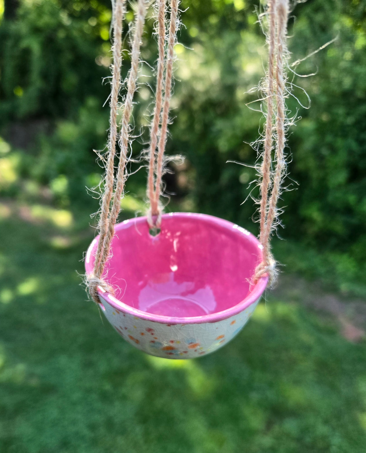 Air Plant Hanger