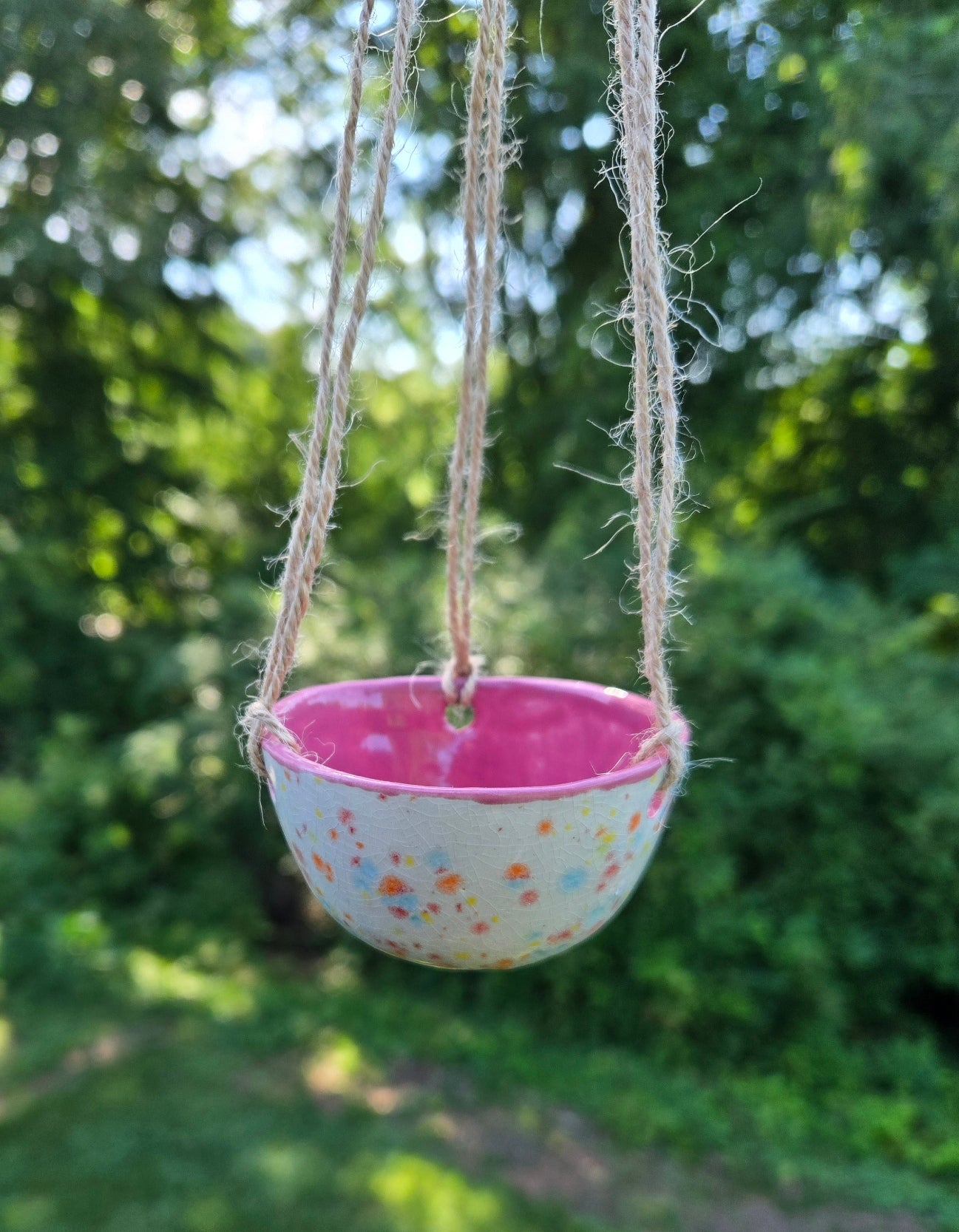 Air Plant Hanger